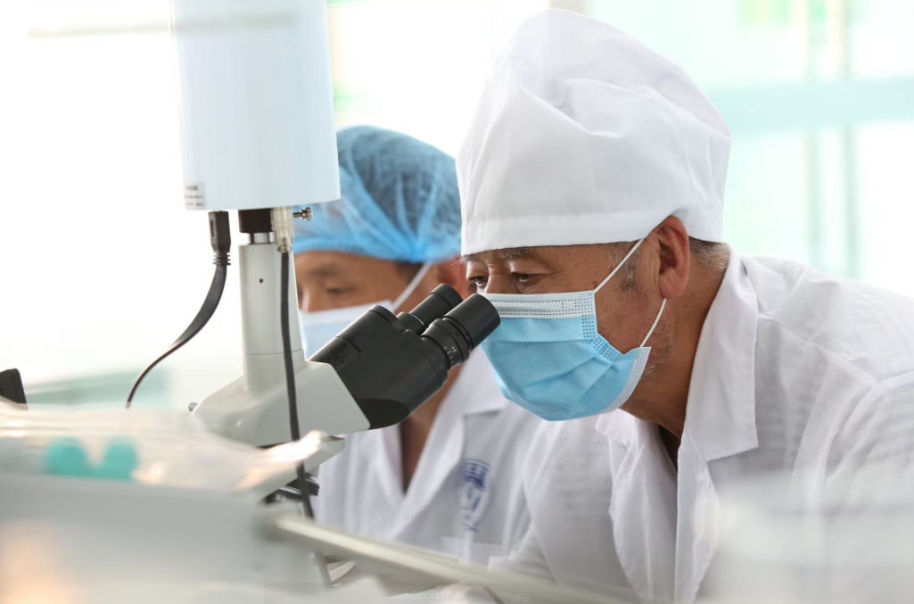 宝鸡千阳县种羊场参与的科技项目荣获陕西省2024年度科学技术进步一等奖