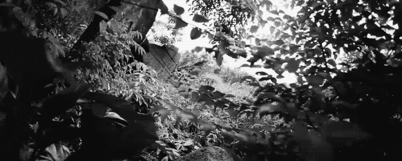 26cf1b6cb894c2c905325b3ef326ed68.gif