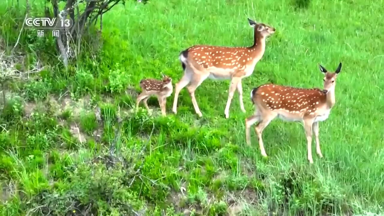 48b5957f545024b6dbc8c4654658d2dd.jpeg