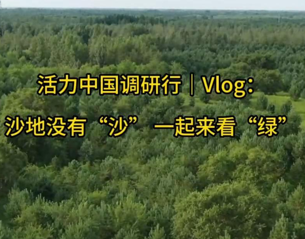8b399fd4b45f623f9e3fa7676e32e547.png