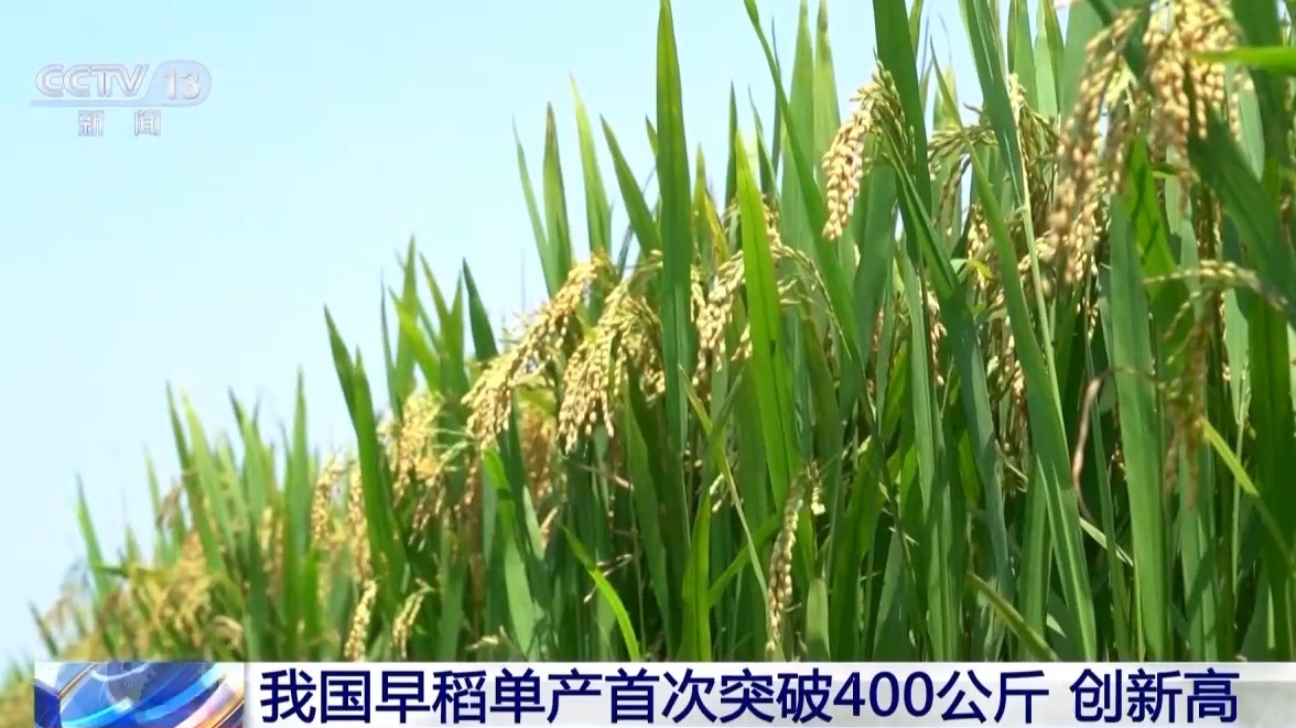 a71b7775af55e821aafc599a8b4d5f80.jpeg