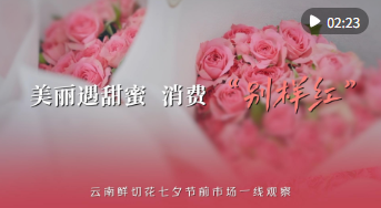 27fb097fdeeb6cd1425b165e480dd488.png