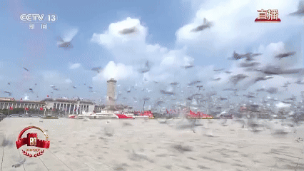 16f2d0396e928459eda3c0eed8967790.gif