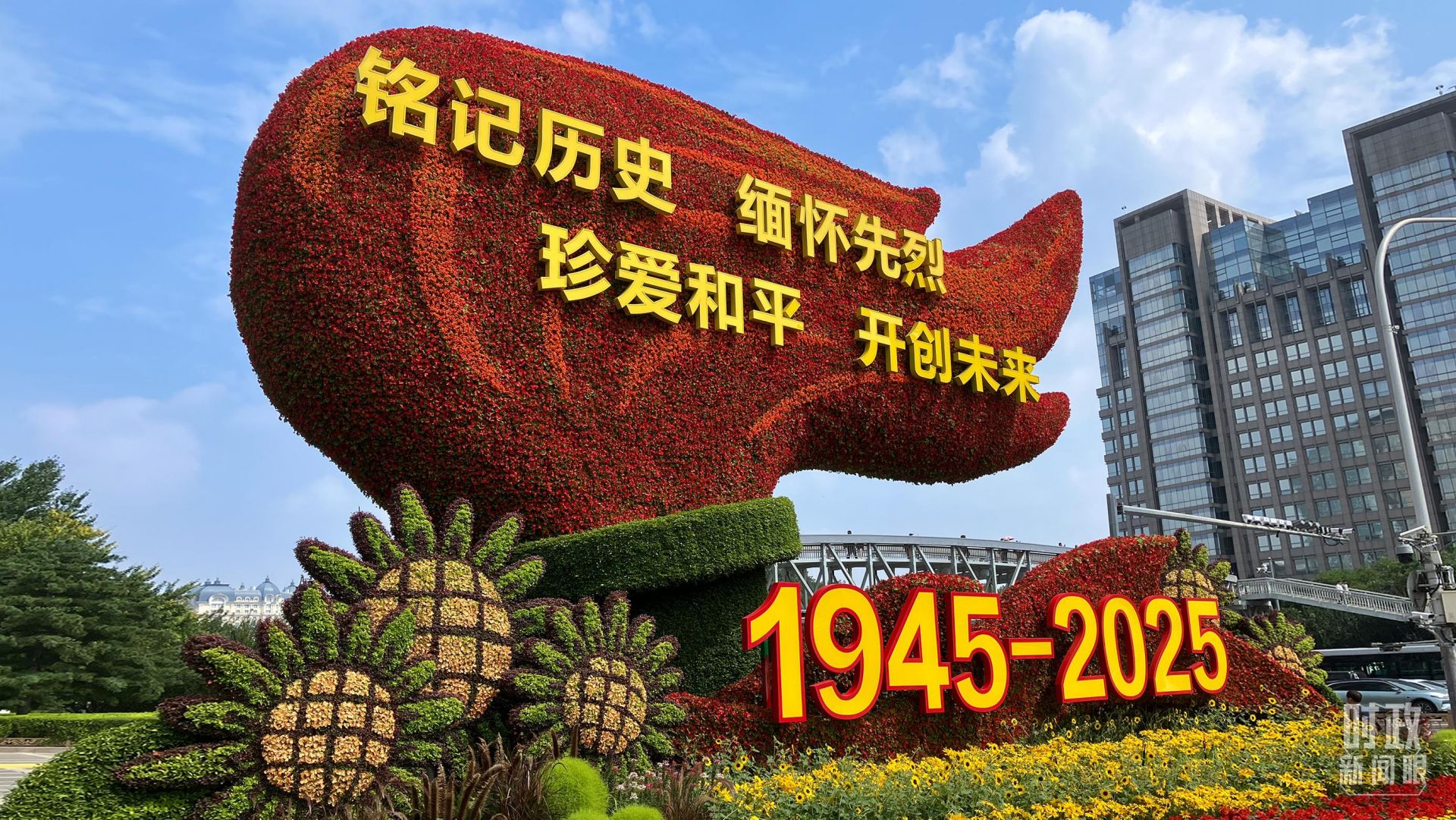 db87a468568cd279a8499c10012391e6.jpeg