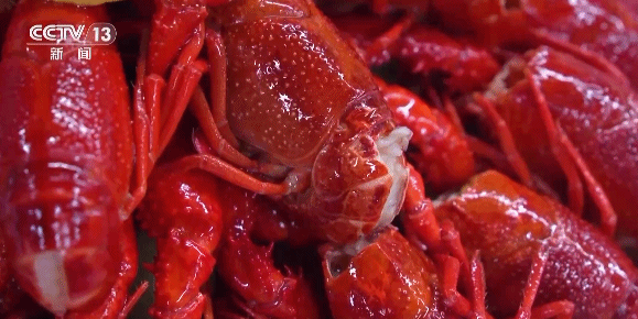 0d94cc17d2c2f96fda306e71e0c5304e.gif