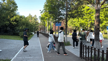 4503690e57a9ba94adfec4eea93d0ed9.gif