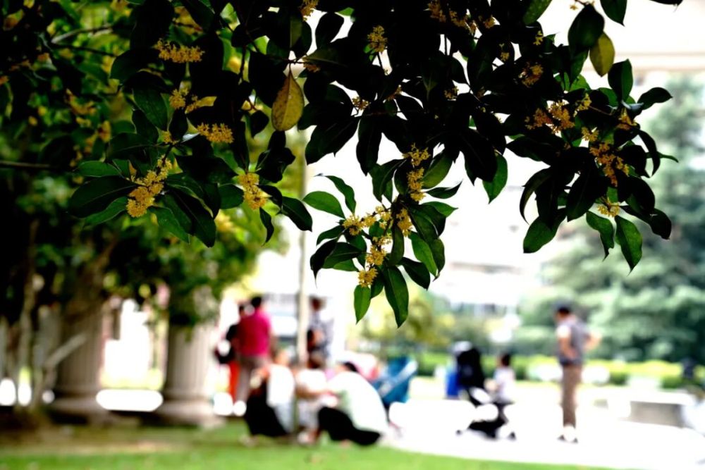 ab813f73cb20d1161a0d946811932835.jpeg