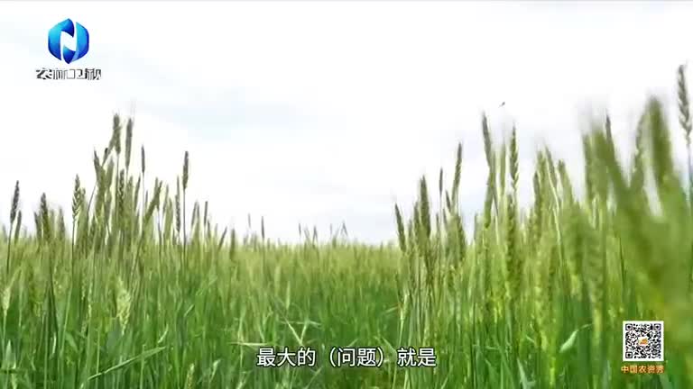 中国农资秀 (2025-09-07)