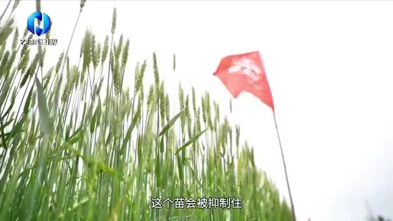 中国农资秀 (2025-09-08)