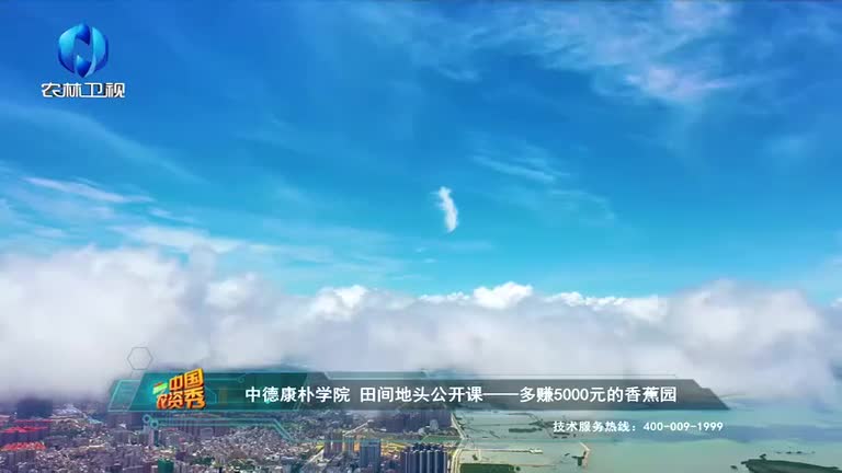 中国农资秀(2025-09-09)