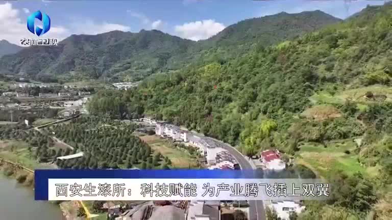 农村大市场(2025-09-11)
