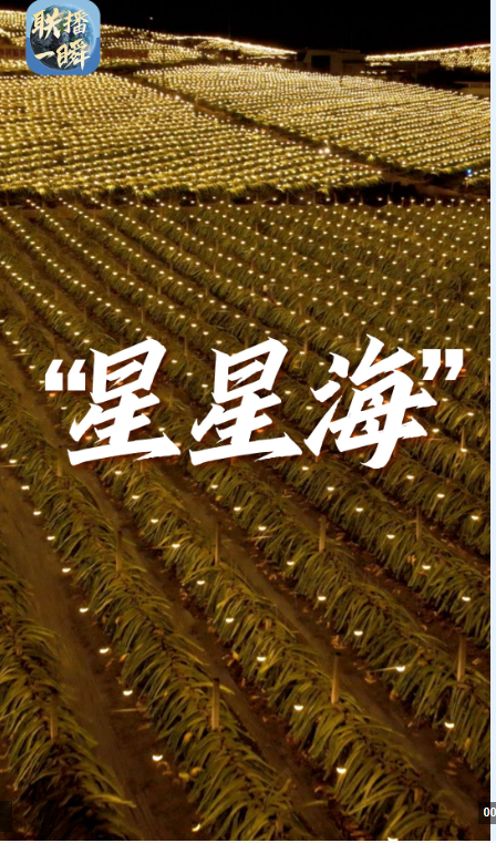 a39cdc0f29004f0b6234f8534f3c176d.png