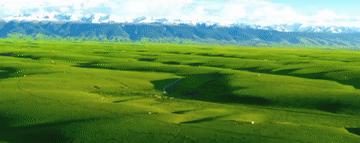 3bab4c0c3fe603ad5c99fa5ab044c81d.gif
