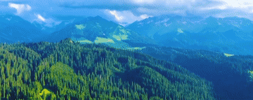 92042dd7dba2bb23872b8b1c657c8ac3.gif