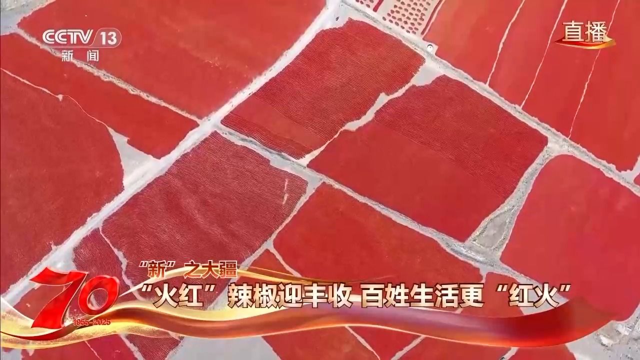 2823f295d8e604d19edaeb059b50be65.jpeg