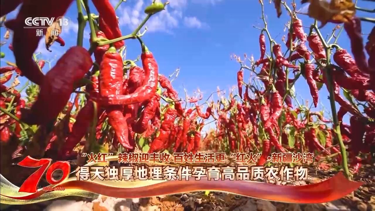 c232a16d08e2860127c608cce740d367.jpeg