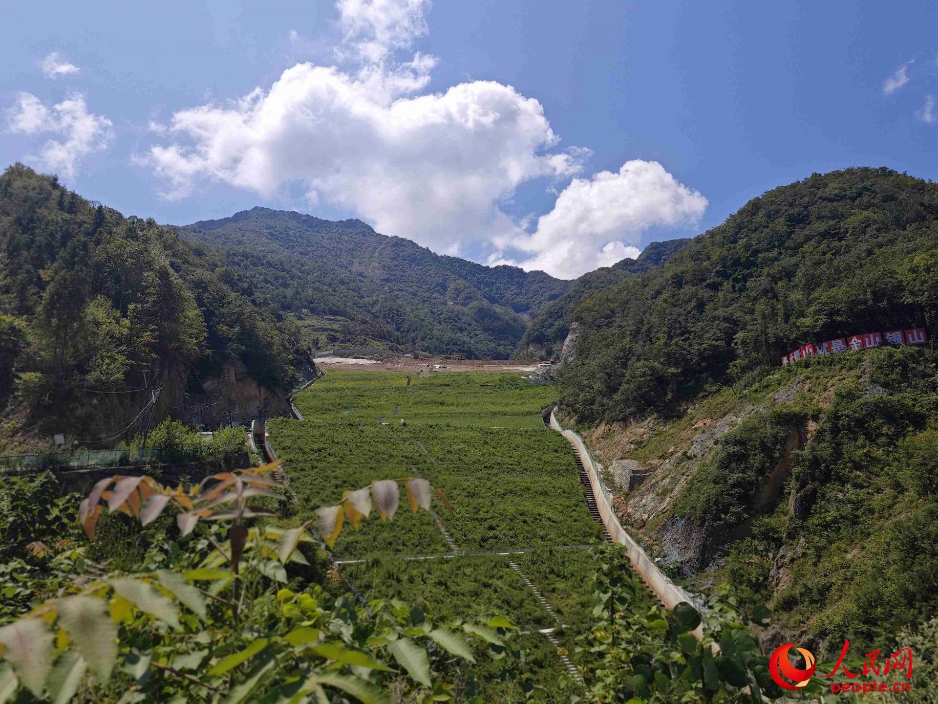 已部分复绿的贮存场。人民网记者 黄钰摄