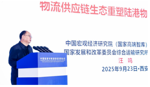 b5bac6d07a45d0415656c272ad461a43.png