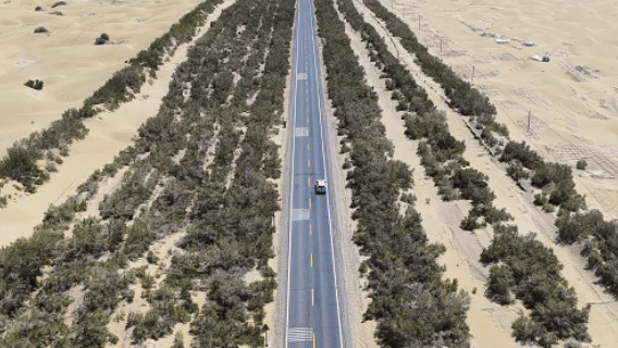 625d70ce1e8f8419d536162e4efd85c2.gif