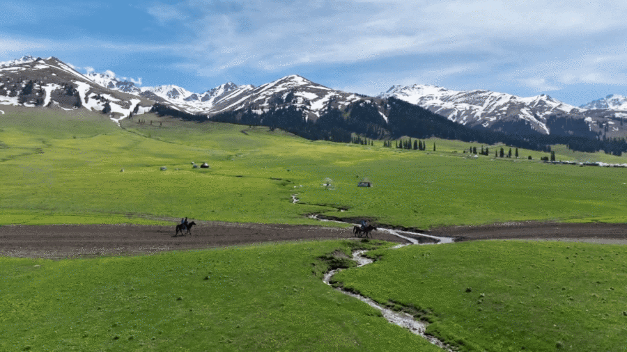 df41f796f10297c230e018f782c9ed53.gif