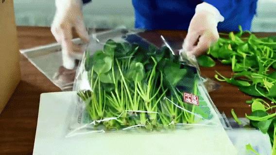 91211f87d3eeb19a607d5ae65a1bdd76.gif