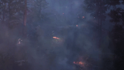 99f1c3ce70702fa5965735b4ef36afe4.gif