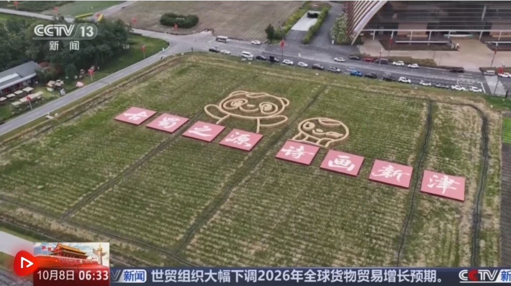 正在上传... e87d492a933fd95693f1da263ccfdab3.png