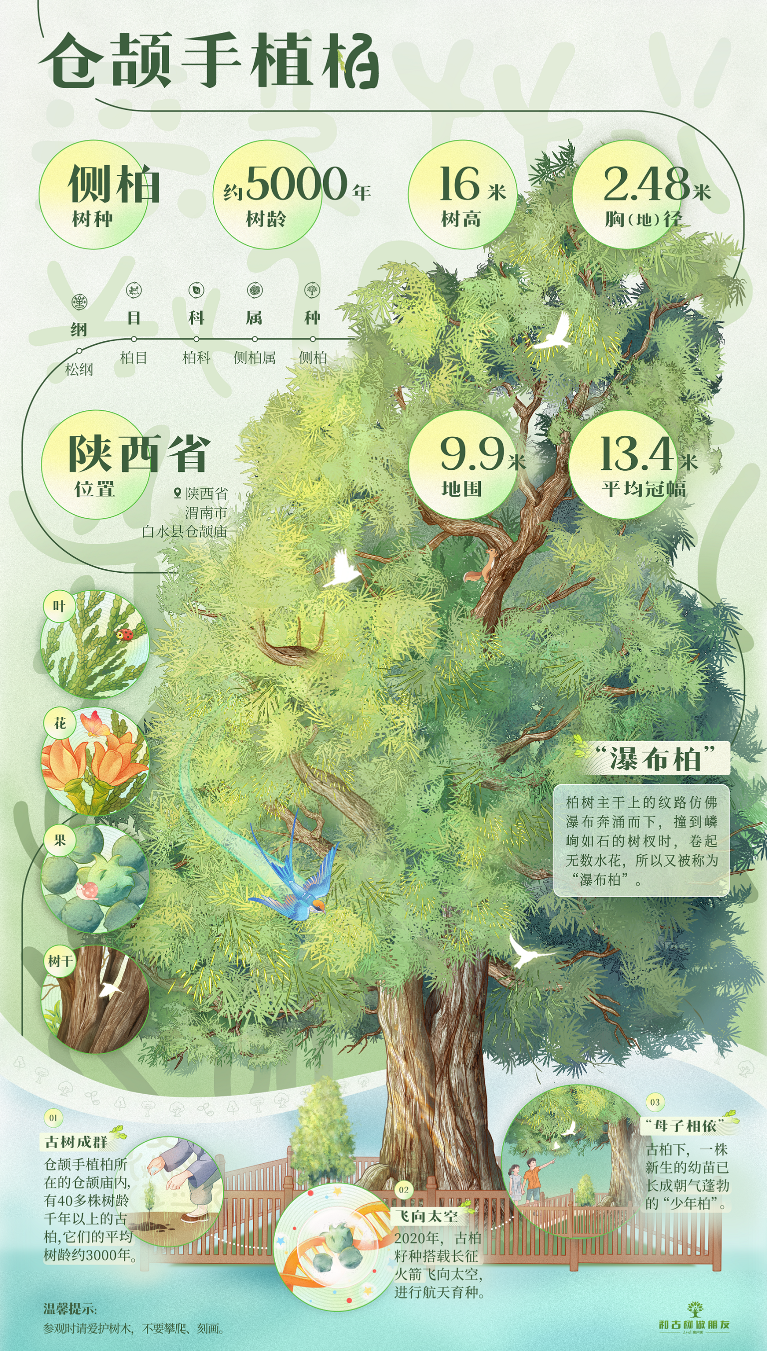 2d2382dc84346d0ffc8c1c228fe5646b.png