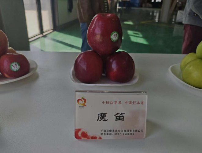 正在上传... 5f4492d9f46a9562246681de4b6e4a31.png