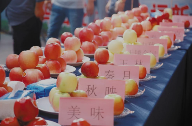 正在上传... 7e760473ba474e16311d5023722a9a95.png