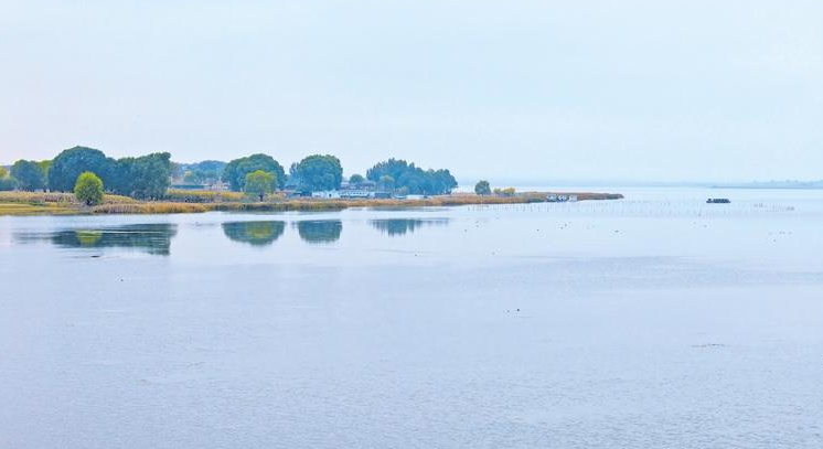 正在上传... 691bacaa58aaf24db1fa788d2ec5d9b8.png