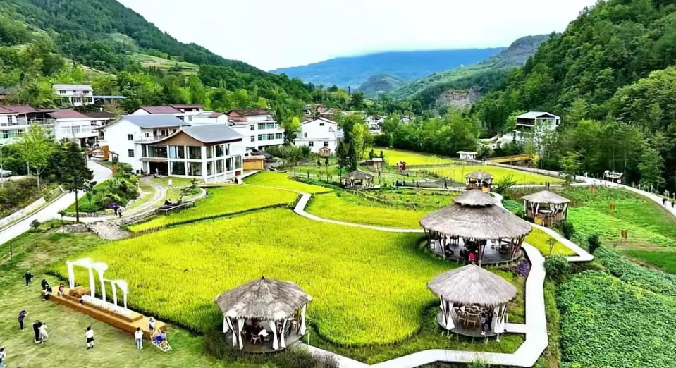 正在上传... 12ef7137042e93d37b51154f9d8389ef.png