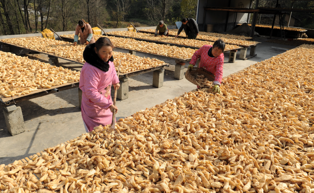 正在上传... caf36ed1c3f56d698273693df362d87f.png