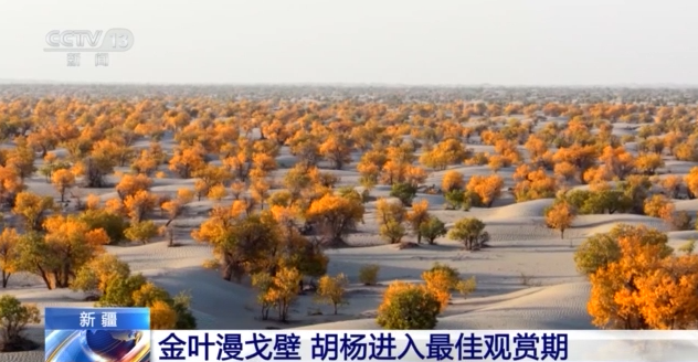 3007520a1681a0dba20f5e061a7a2ace.png