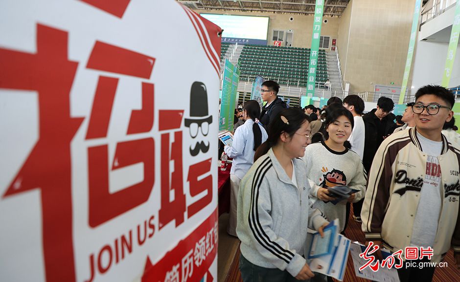 【职引未来】“金秋启航”促就业 精准服务护航青春梦