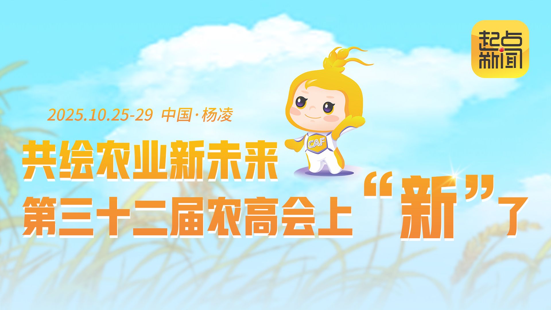 共绘农业新未来 第三十二届农高会上“新”了