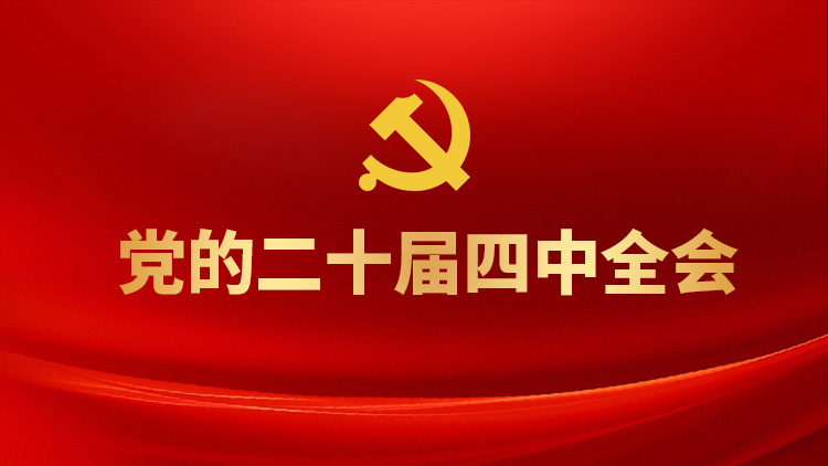 党的二十届四中全会