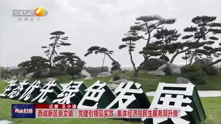 西咸新区崇文镇：党建引领见实效  集体经济与民生服务双升级