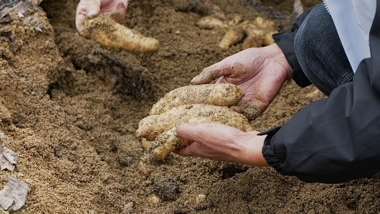 正在上传... 78fb8acf9a7815da7df07eb6f883707a.png