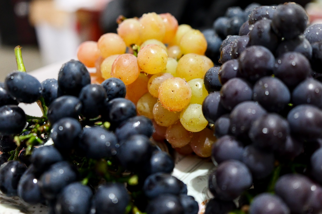 正在上传... 797974722f0a21bddc4e52c6c9363338.png