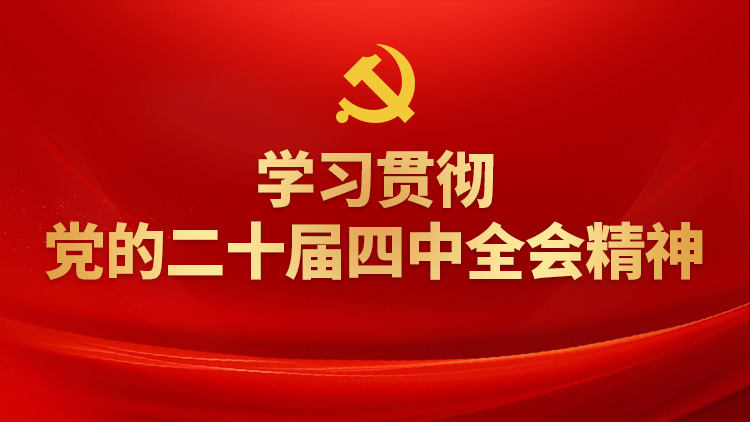 学习贯彻党的二十届四中全会精神