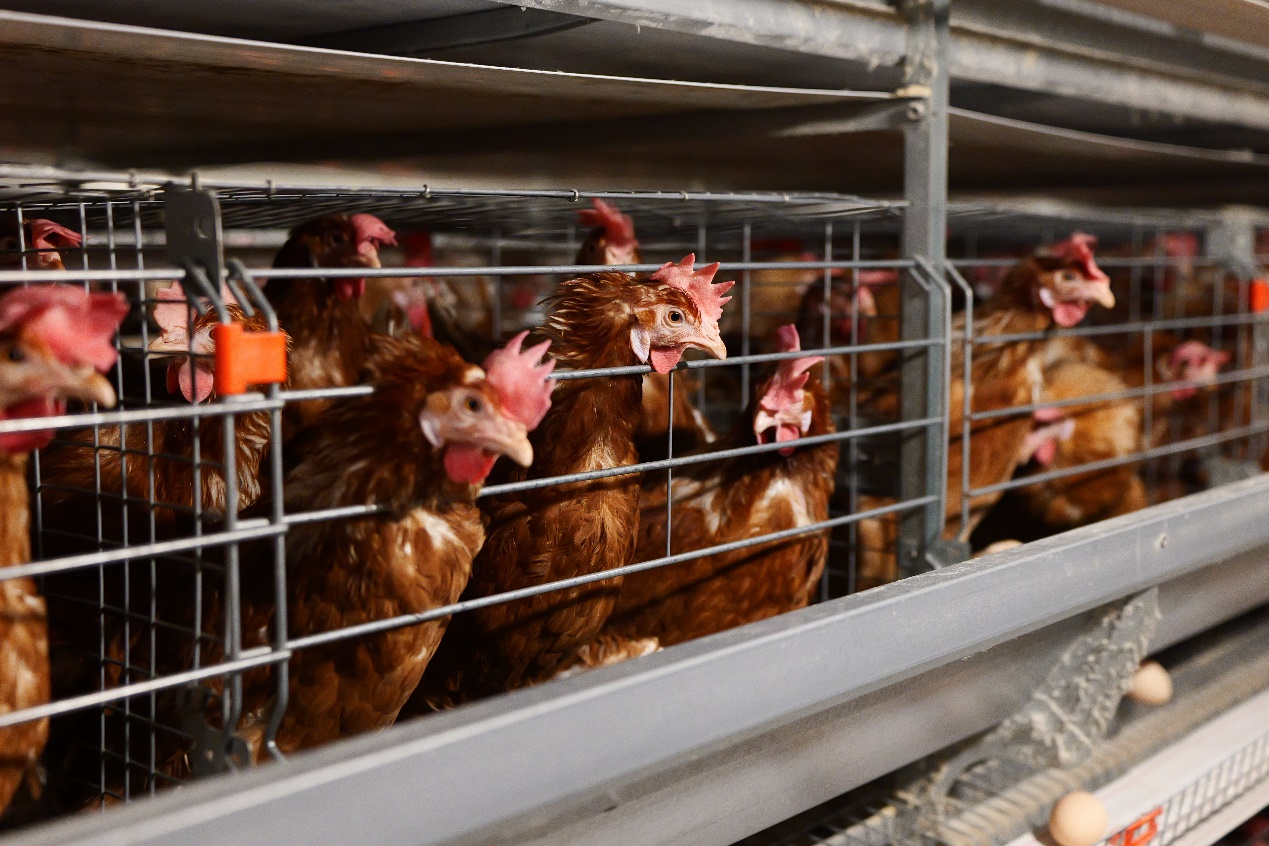 正在上传... 28f5f5a96ed6f636fc67fcc57015c76e.png