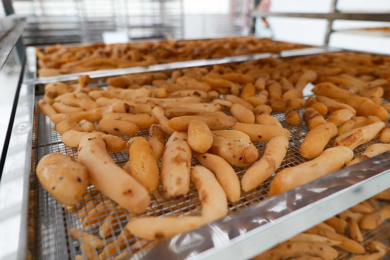 正在上传... 53b677176b6f21fc6bd23693fcca05e0.png