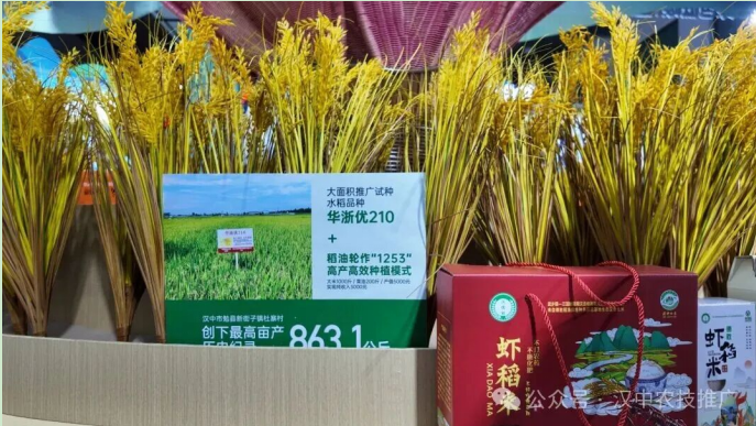 正在上传... 56451a2c391cc2cf118d7e2c6fd14d23.png