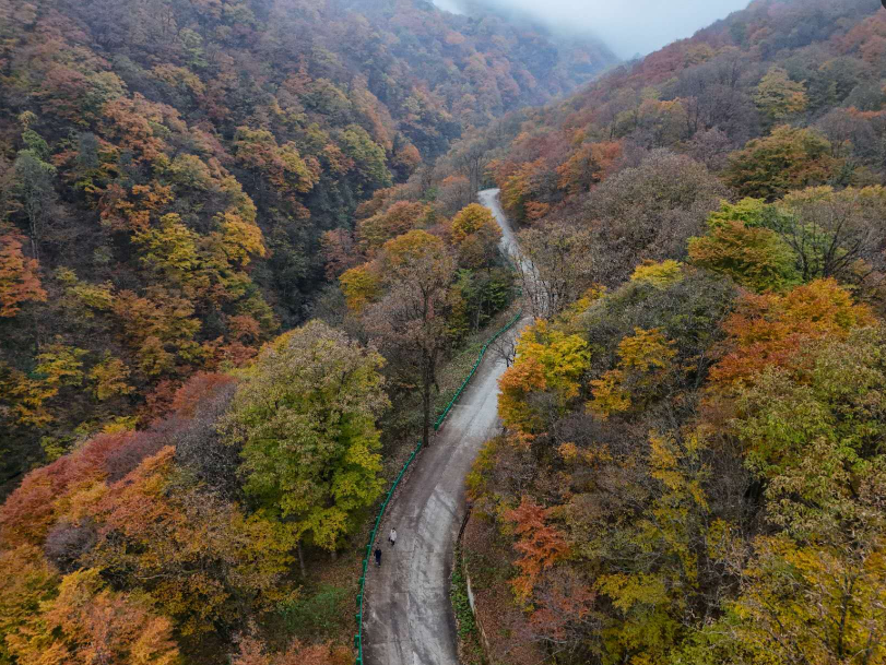 正在上傳... 49d620bbb50d2460b7b468d3633349f2.png