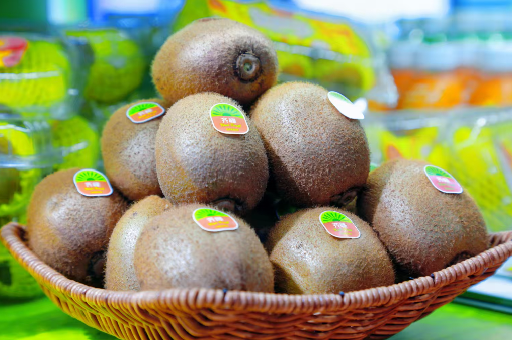 正在上传... 0e74536ebb456b0ab8ede55767cf4485.png