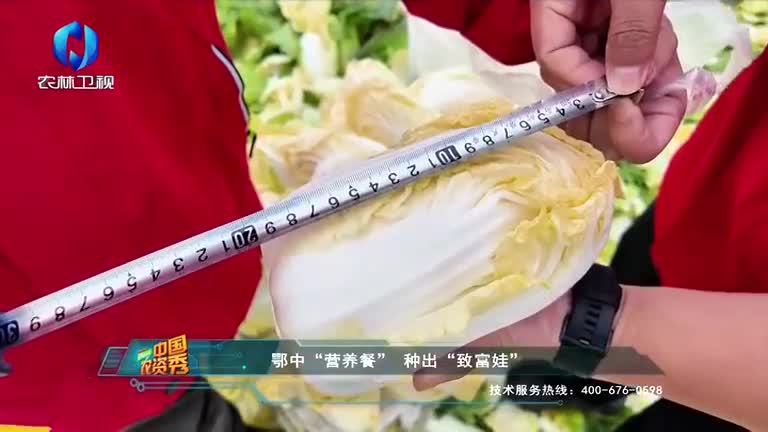 中國(guó)農(nóng)資秀 (2025-10-29)