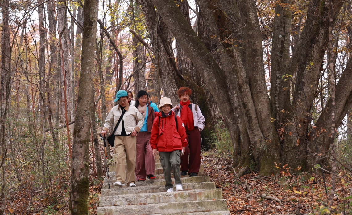 正在上傳... 4d31bfa8c9a0dceb2f1d65ca4b1e56ed.png