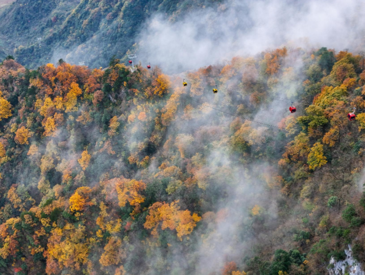 正在上傳... 042a911501ec116474b905390cc252c0.png