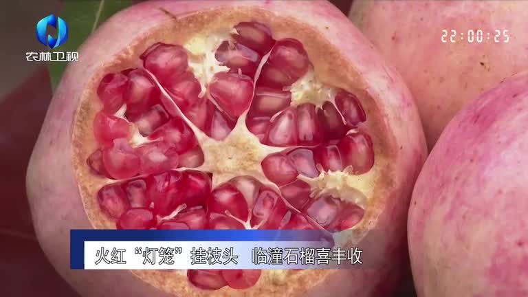 農(nóng)村大市場(chǎng) (2025-10-29)